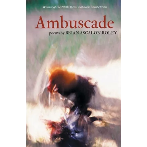Ambuscade - Paperback