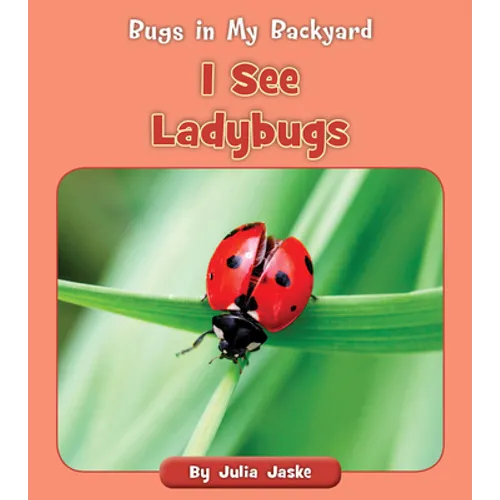 I See Ladybugs - Paperback