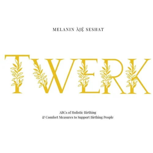 Twerk: ABCs of Holistic Birthing and Comfort Measures to Support Birthing People - Hardcover