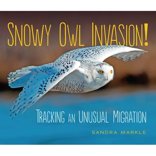 Snowy Owl Invasion!: Tracking an Unusual Migration - Paperback