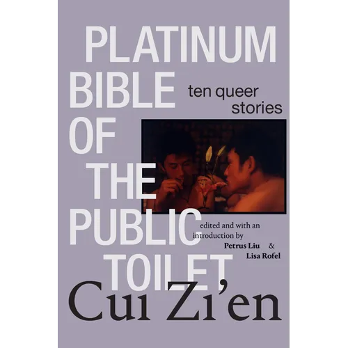 Platinum Bible of the Public Toilet: Ten Queer Stories - Hardcover