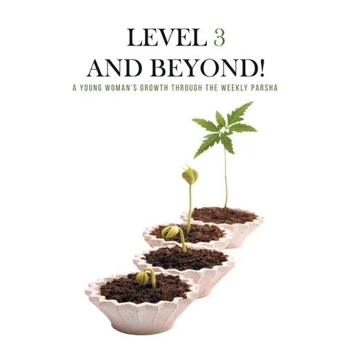 Level Three and Beyond: A Young Woman's Growth Through the Weekly Parsha - Paperback