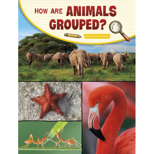 How Are Animals Grouped? - Hardcover