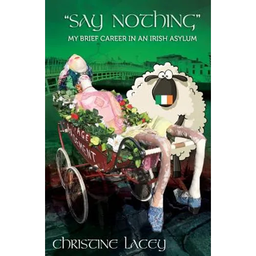 Say Nothing-My Brief Career in an Irish Asylum - Paperback