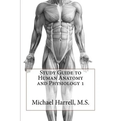 Study Guide to Human Anatomy and Physiology 1 - Paperback