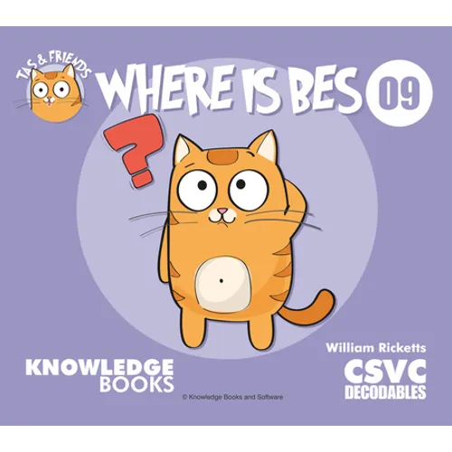 Where Is Bes?: Book 9 - Paperback