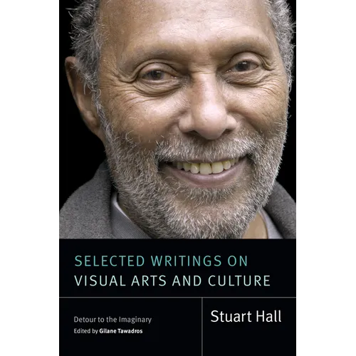 Selected Writings on Visual Arts and Culture: Detour to the Imaginary - Paperback