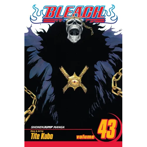 Bleach, Vol. 43 - Paperback