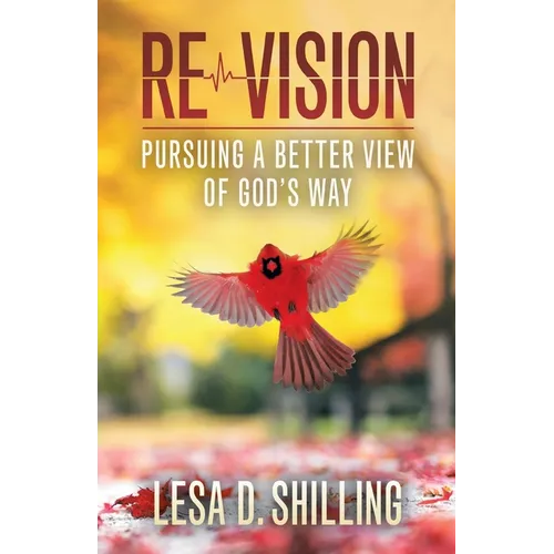 Re-Vision: Pursuing a Better View of God's Way - Paperback