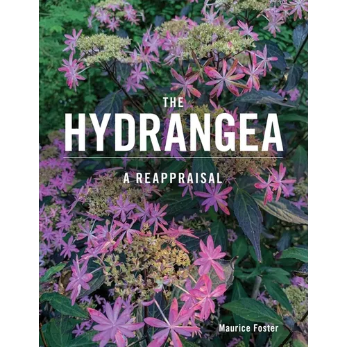The Hydrangea: A Reappraisal - Hardcover