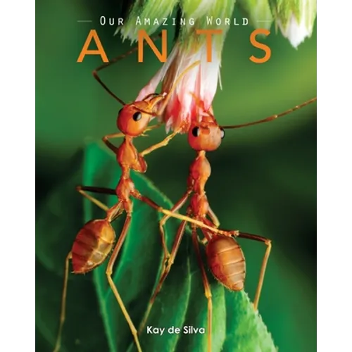 Ants: Amazing Pictures & Fun Facts on Animals in Nature - Paperback