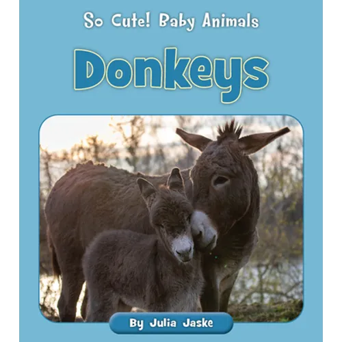 Donkeys - Paperback