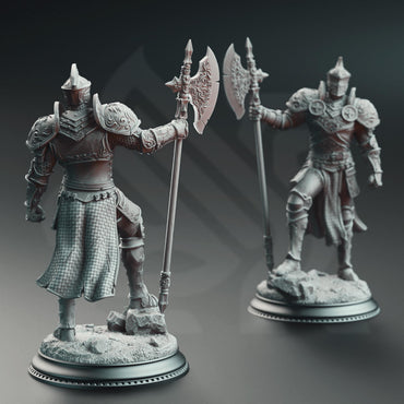 3D Printed Knight of the Tower by DM Stash