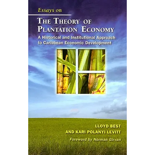 Essays on the Theory of Plantation Economy: A Historical and Institutional Approach to Caribbean Economic Development - Paperback