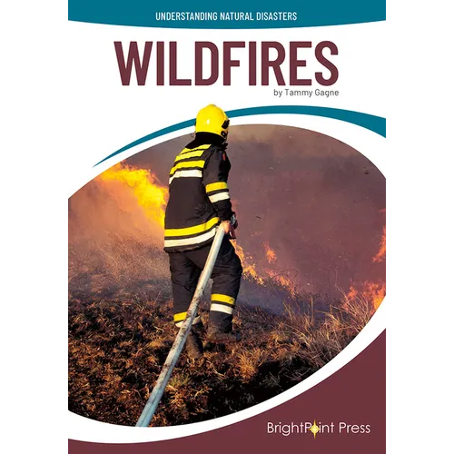 Wildfires - Hardcover