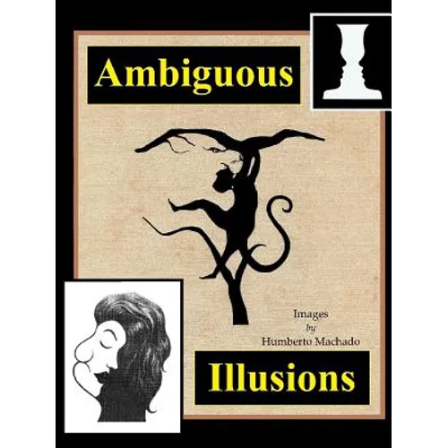Ambiguous Illusions - Paperback