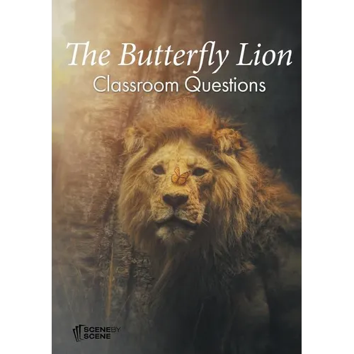The Butterfly Lion Classroom Questions - Paperback