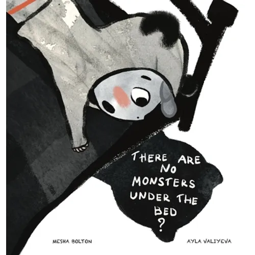 There Are No Monsters Under The Bed? - Hardcover