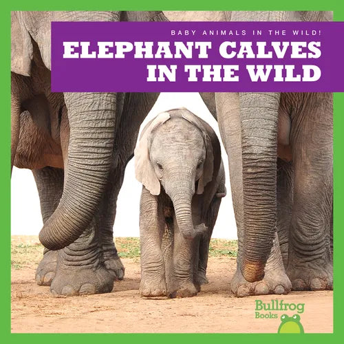 Elephant Calves in the Wild - Library Binding
