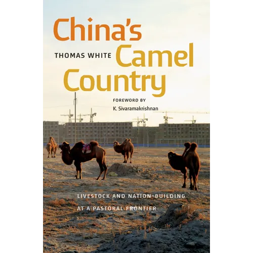 China's Camel Country: Livestock and Nation-Building at a Pastoral Frontier - Paperback
