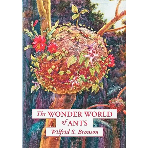 The Wonder World of Ants - Paperback