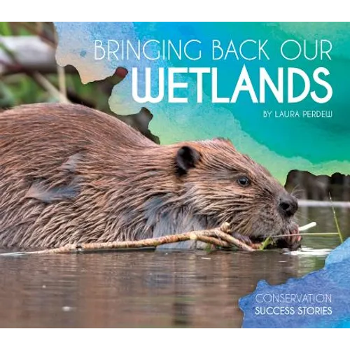 Bringing Back Our Wetlands - Library Binding
