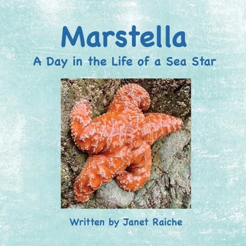 Marstella: A Day in the Life of a Sea Star - Paperback