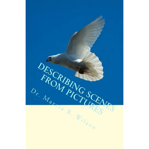 Describing Scenes from Pictures - Paperback