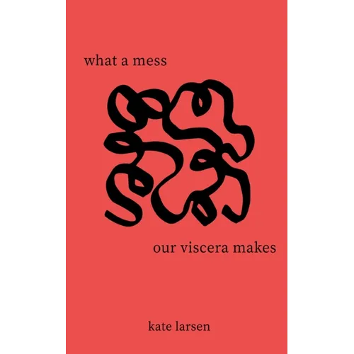 what a mess our viscera makes - Paperback