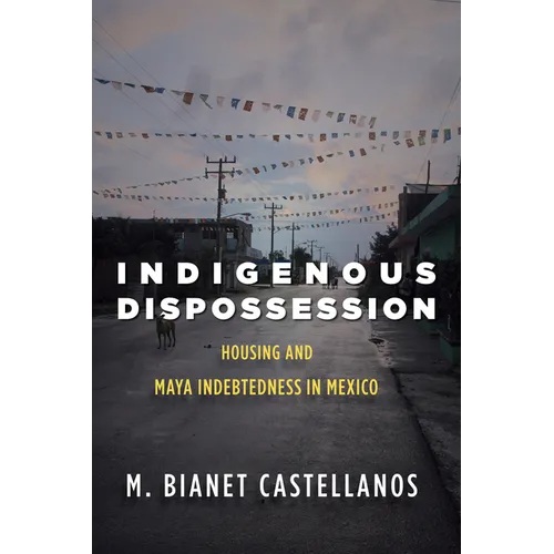 Indigenous Dispossession: Housing and Maya Indebtedness in Mexico - Paperback