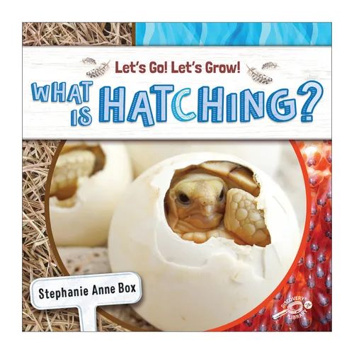 What Is Hatching? - Paperback