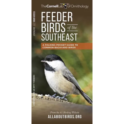 Feeder Birds of the Southeast: A Folding Pocket Guide to Common Backyard Birds - Paperback