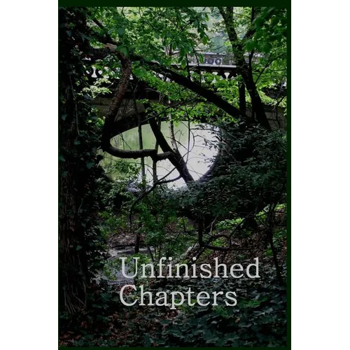 Unfinished Chapters - Paperback