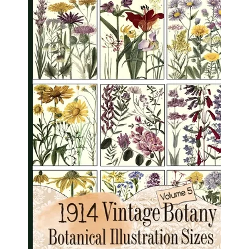 1914 Vintage Botany Botanical Illustration Sizes - Paperback