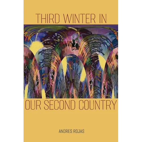 Third Winter in Our Second Country - Paperback