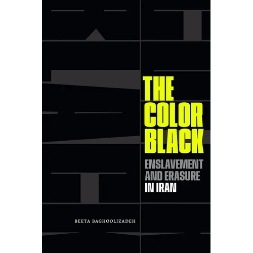 The Color Black: Enslavement and Erasure in Iran - Paperback