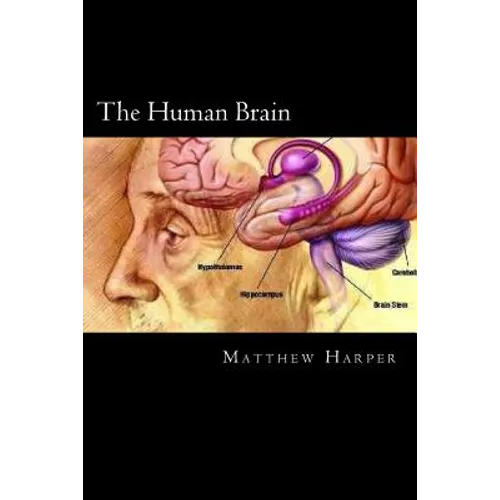 The Human Brain: A Fascinating Book Containing Human Brain Facts, Trivia, Images & Memory Recall Quiz: Suitable for Adults & Children - Paperback