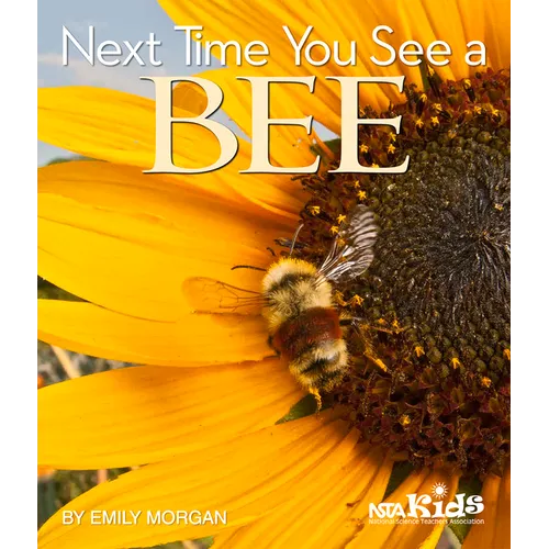 Next Time You See a Bee - Paperback
