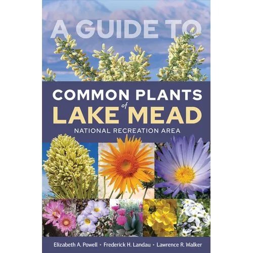 A Guide to Common Plants of Lake Mead National Recreation Area - Paperback