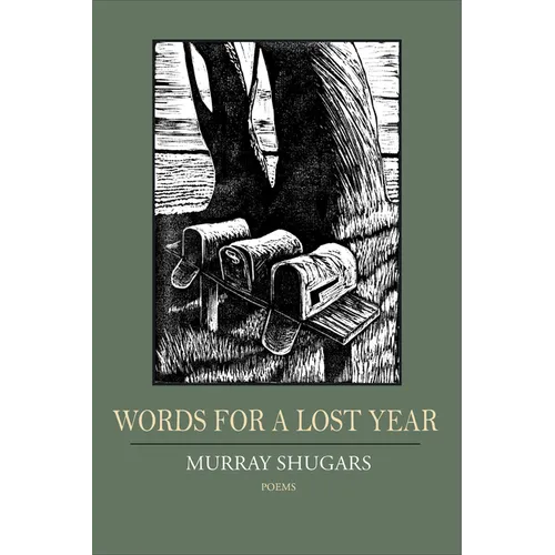 Words for a Lost Year - Paperback