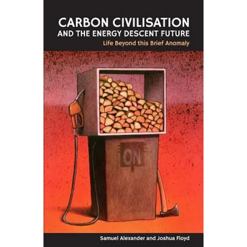 Carbon Civilisation and the Energy Descent Future: Life Beyond this Brief Anomaly - Paperback