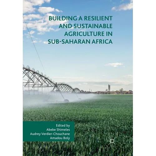 Building a Resilient and Sustainable Agriculture in Sub-Saharan Africa - Paperback