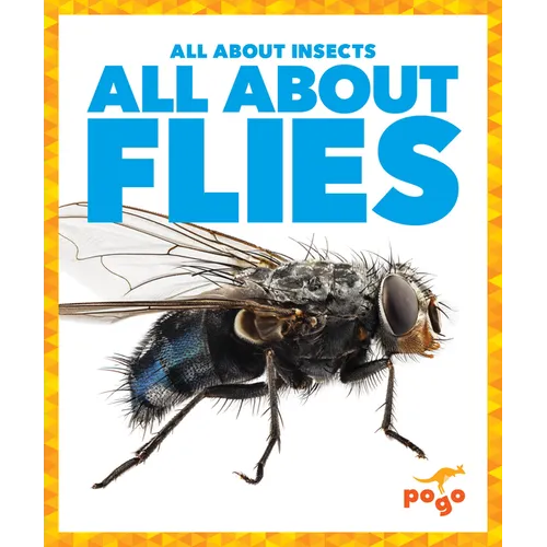 All about Flies - Paperback