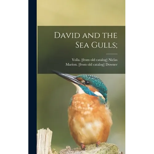 David and the Sea Gulls; - Hardcover