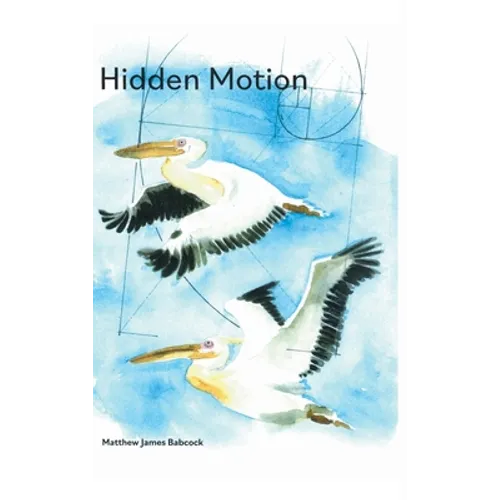 Hidden Motion - Hardcover