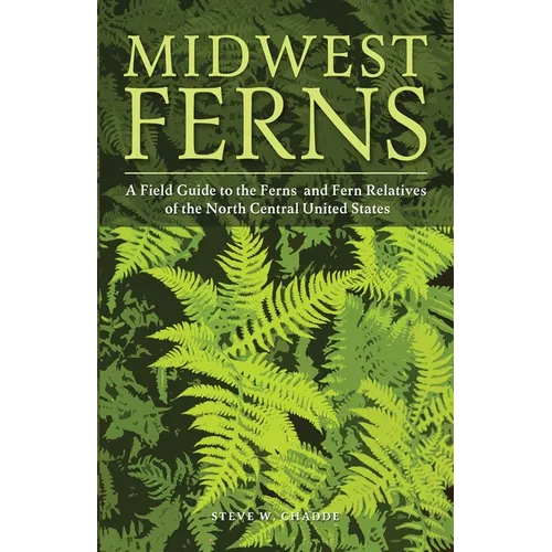 Midwest Ferns: A Field Guide to the Ferns and Fern Relatives of the North Central United States - Paperback