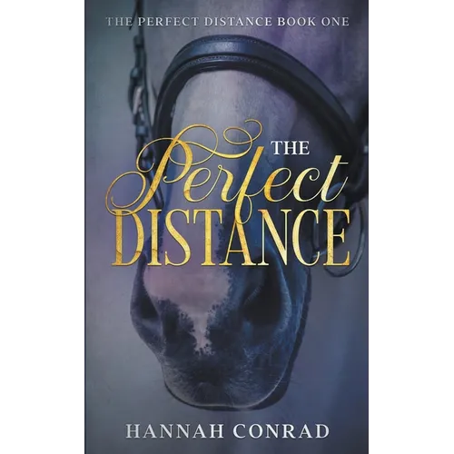 The Perfect Distance - Paperback