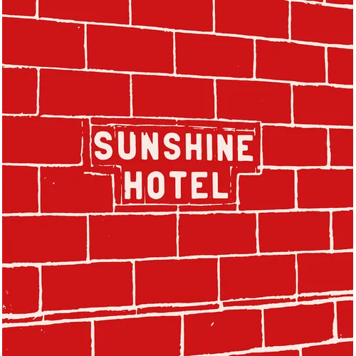Mitch Epstein: Sunshine Hotel - Hardcover