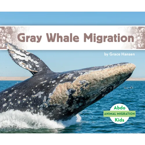 Gray Whale Migration - Library Binding