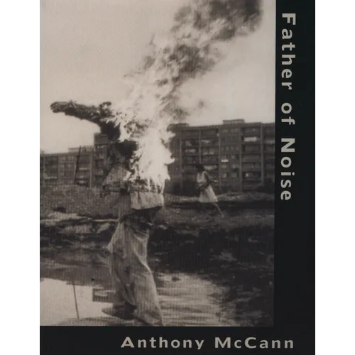 Father of Noise - Paperback